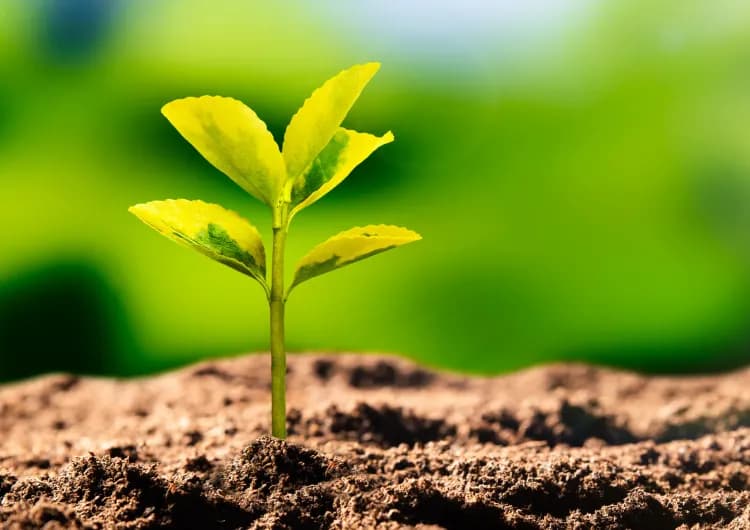 Tout savoir sur la spécialité SVT