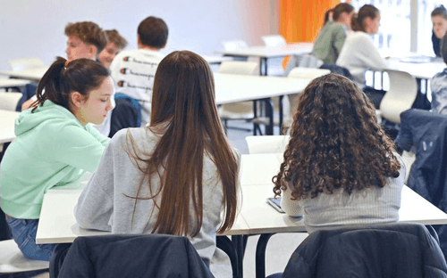 Seconde générale : repérer les matières préférées pour bien choisir ses spécialités